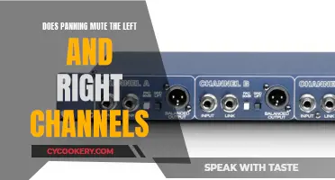 Panning 101: Muting Left and Right Channels