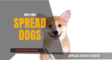 How Pano Spreads Among Dogs: A Vet's Explanation