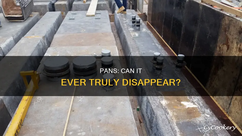 does pans ever go away