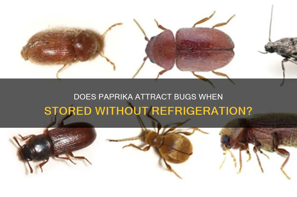does paprika gets bugs if not refrigerated