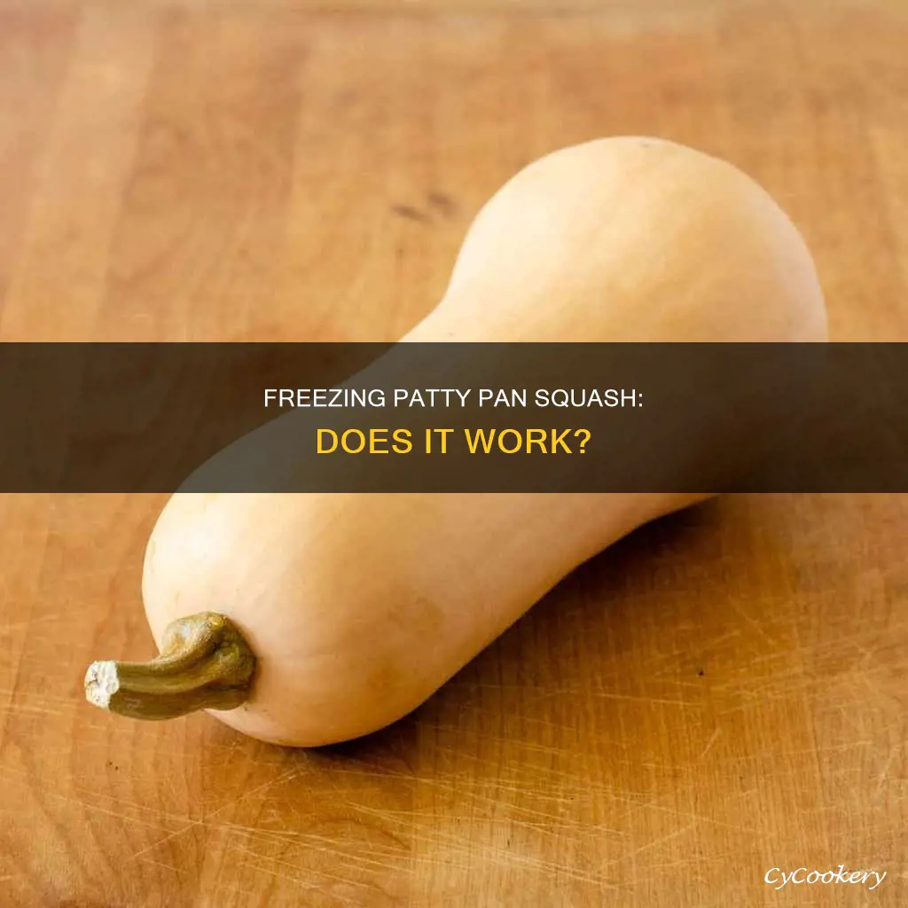 does patty pan squash freeze well