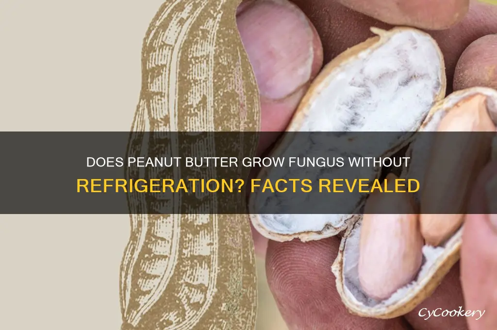 does peanut butter grow fungus if not refrigerated