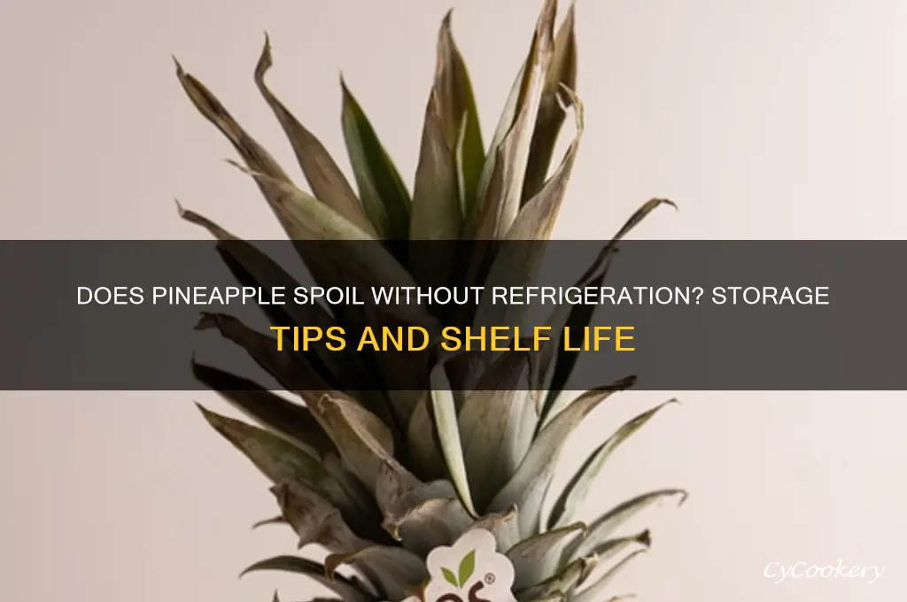 does pineapple go bad if not refrigerated