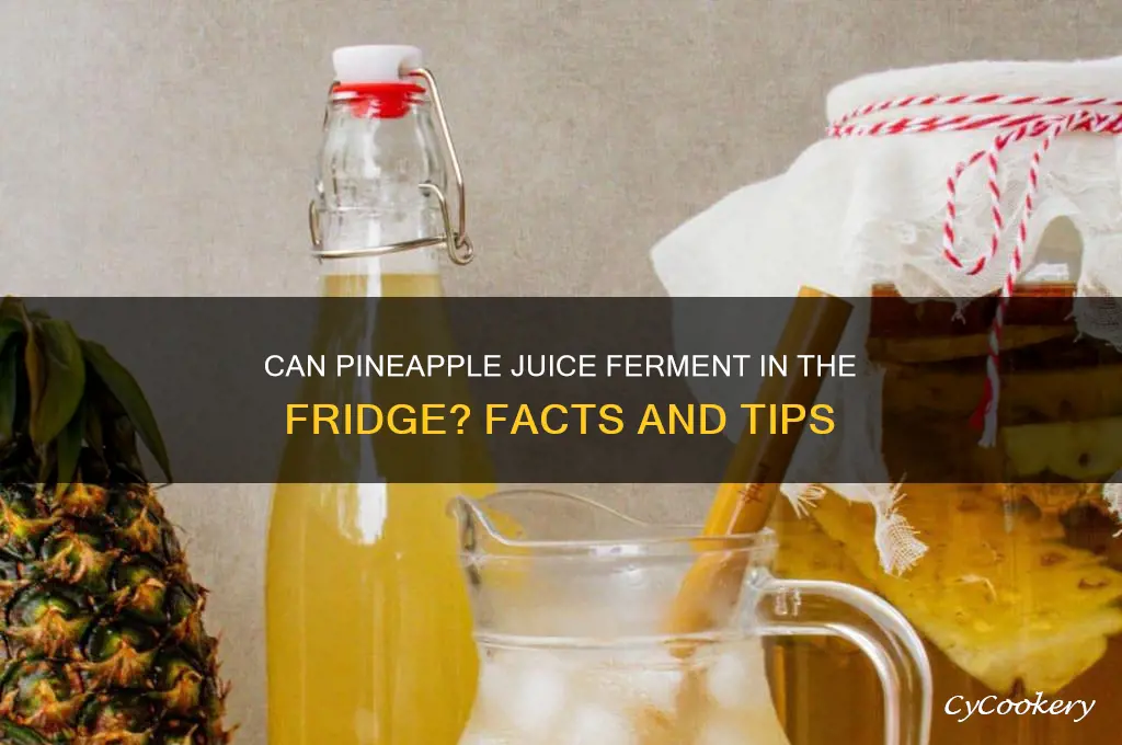 does pineapple juice ferment in the refrigerator
