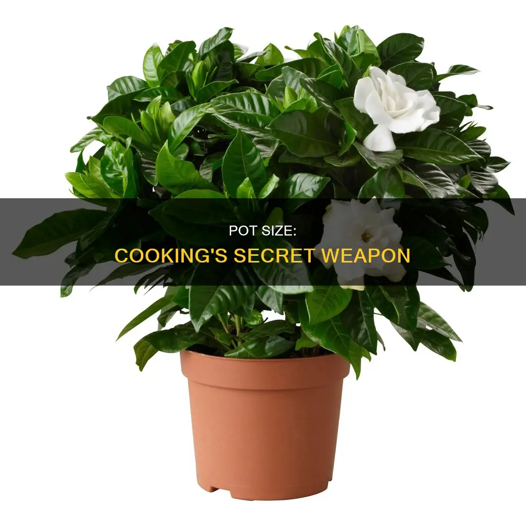 does pot size matter cooking
