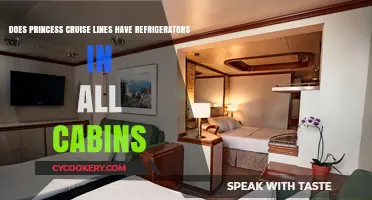 Princess Cruises: Refrigerators in Every Cabin? Find Out Here