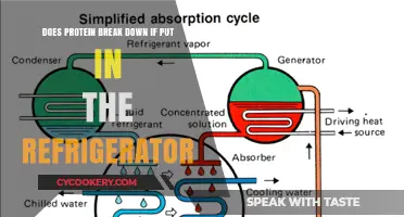 Does Refrigeration Affect Protein Breakdown? Facts and Myths Explained