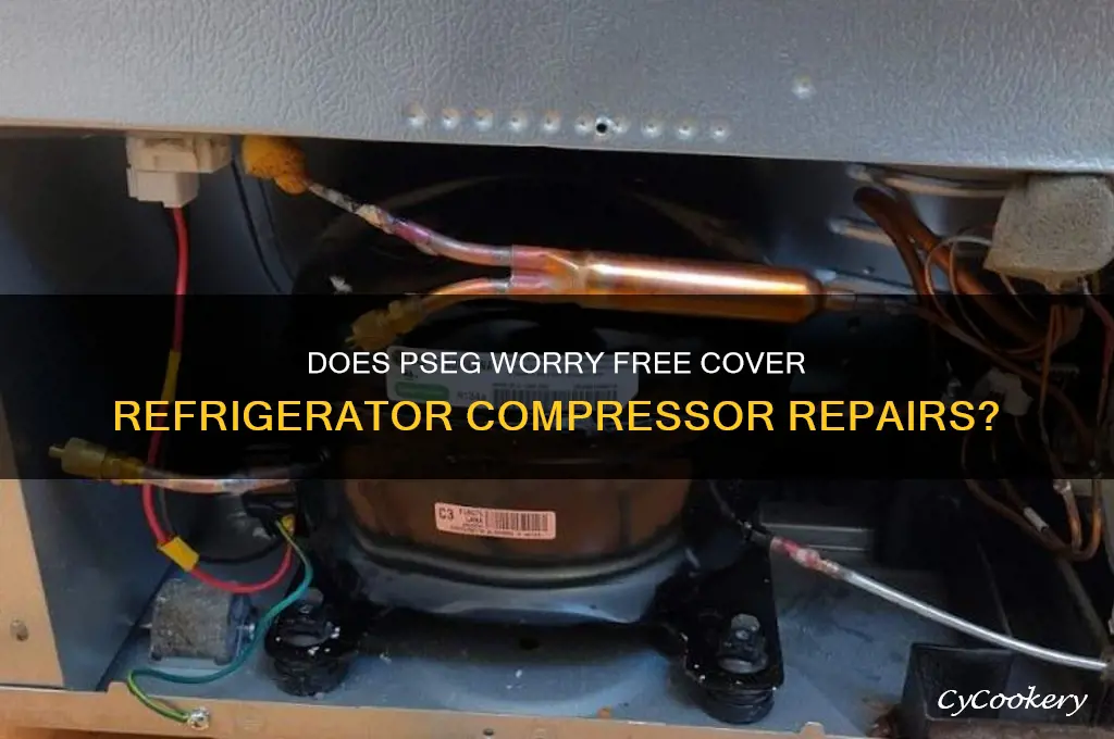 does pseg worry free cover refrigerator compressor