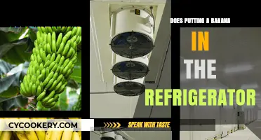 Does Refrigerating Bananas Help or Hurt Ripening? Find Out Here