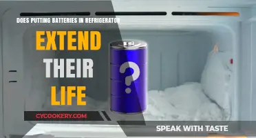 Refrigerating Batteries: Myth or Effective Life-Extending Strategy?