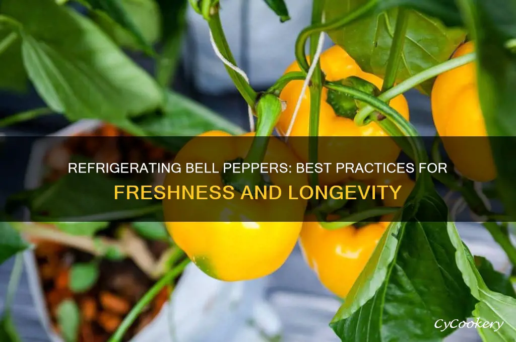 does putting bell peppers in the refrigerator