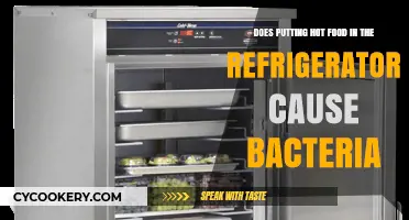 Hot Food in Fridge: Bacteria Risks and Safe Cooling Practices