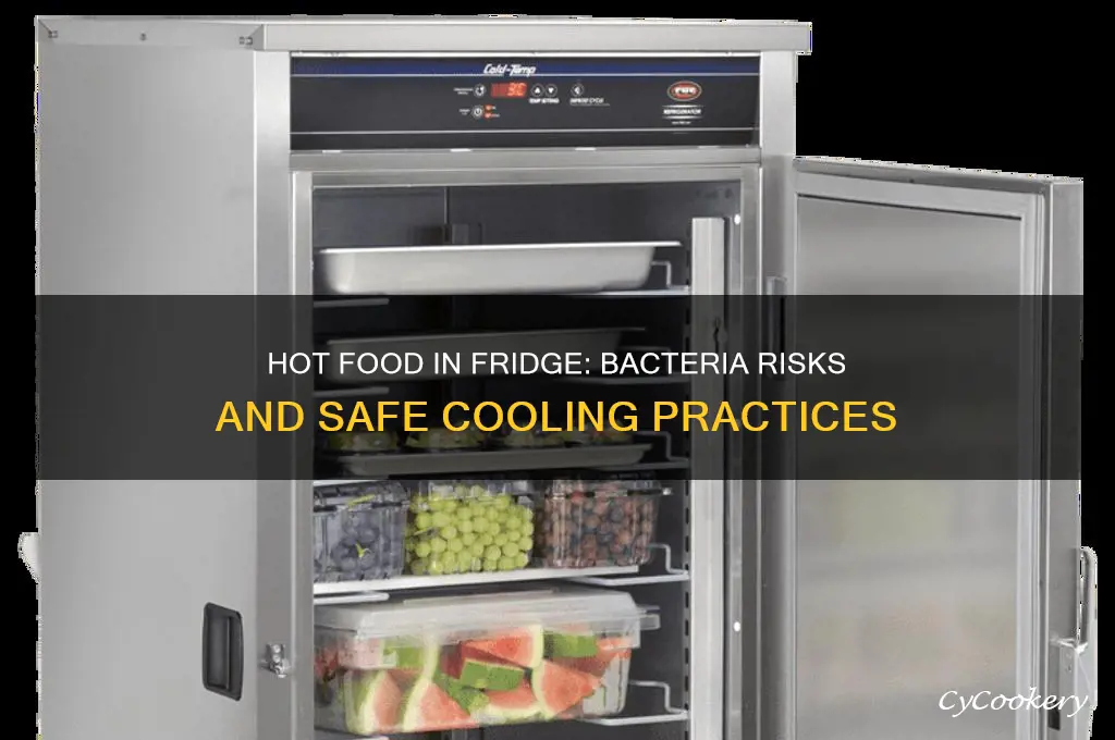 does putting hot food in the refrigerator cause bacteria