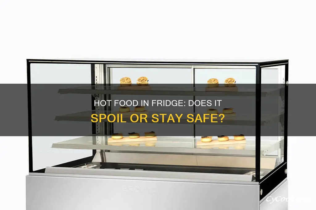 does putting hot food in the refrigerator spoil it
