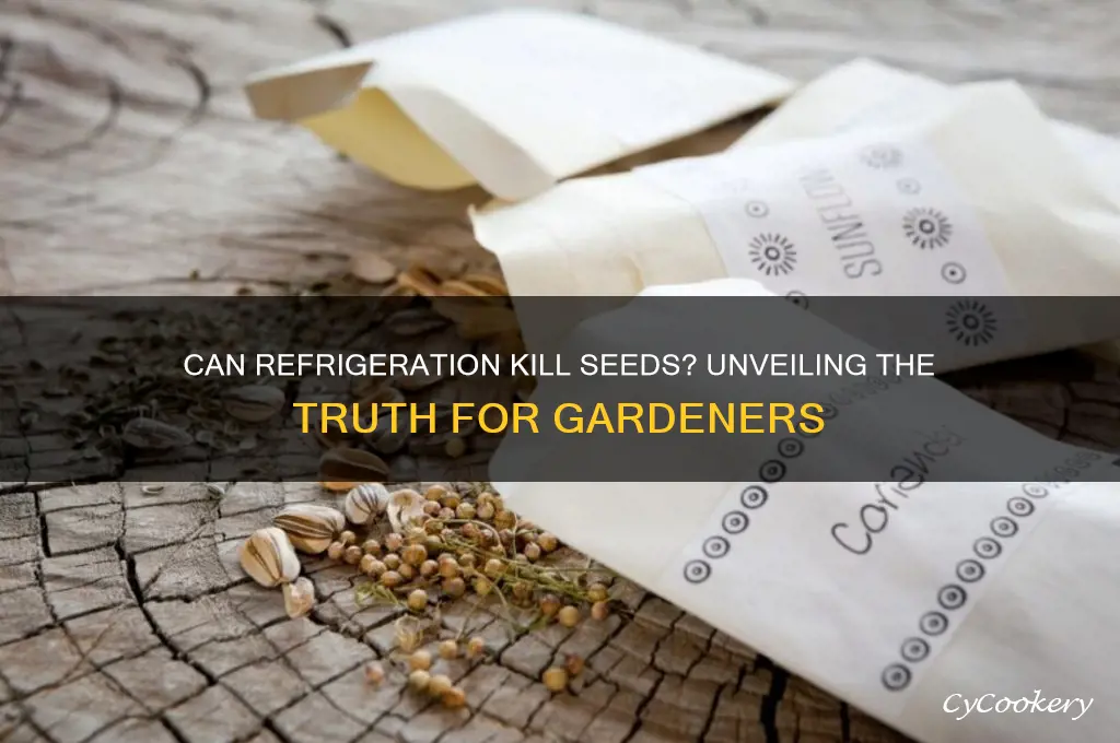 does putting seeds in the refrigerator kill them
