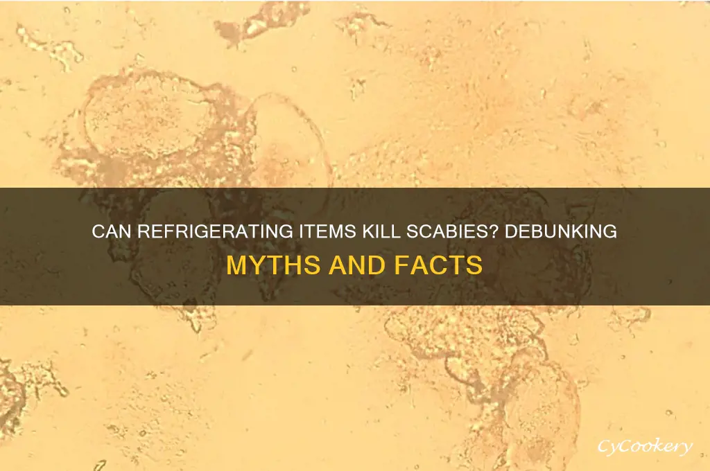 does putting stuff in refrigerator kill scabies