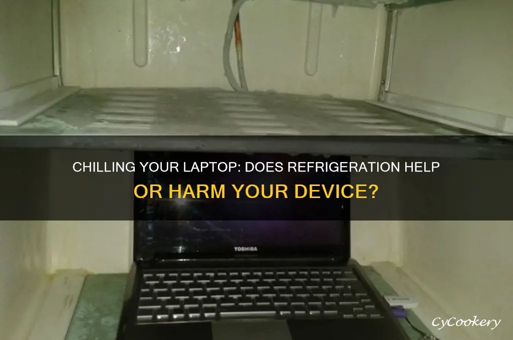 does putting your laptop in the refrigerator