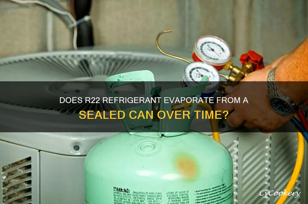 does r22 refrigerant evaporate out of can