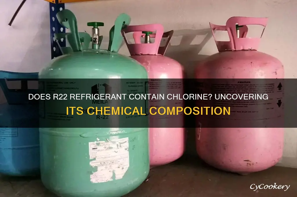 does r22 refrigerant have chlorine in it