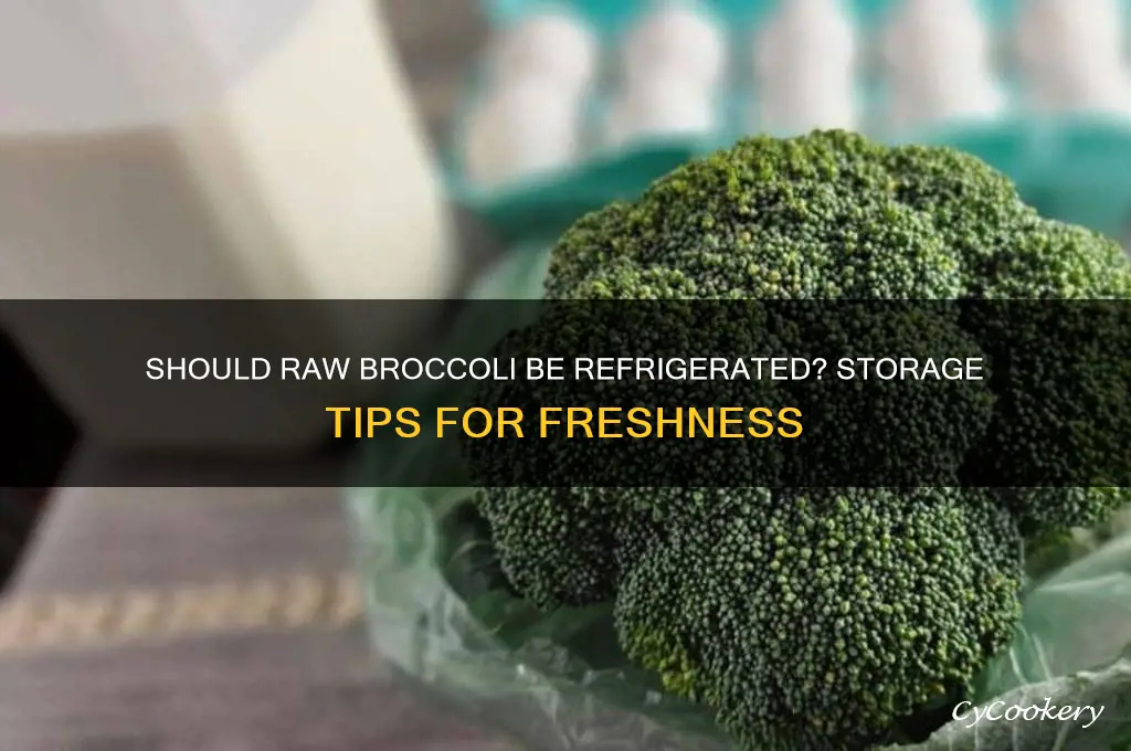 does raw broccoli have to be refrigerated