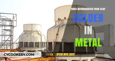 Metal vs. Plastic: Which Keeps Refrigerated Food Colder Longer?