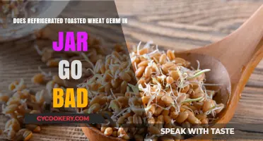 Refrigerated Toasted Wheat Germ in a Jar: Shelf Life Explained