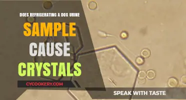 Refrigerating Dog Urine Samples: Does It Cause Crystal Formation?