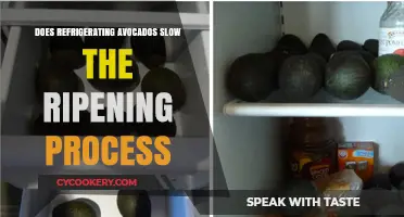 Refrigerating Avocados: Does It Slow Ripening or Waste Time?