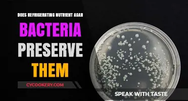 Refrigerating Nutrient Agar: Effective Preservation Method for Bacteria Cultures?