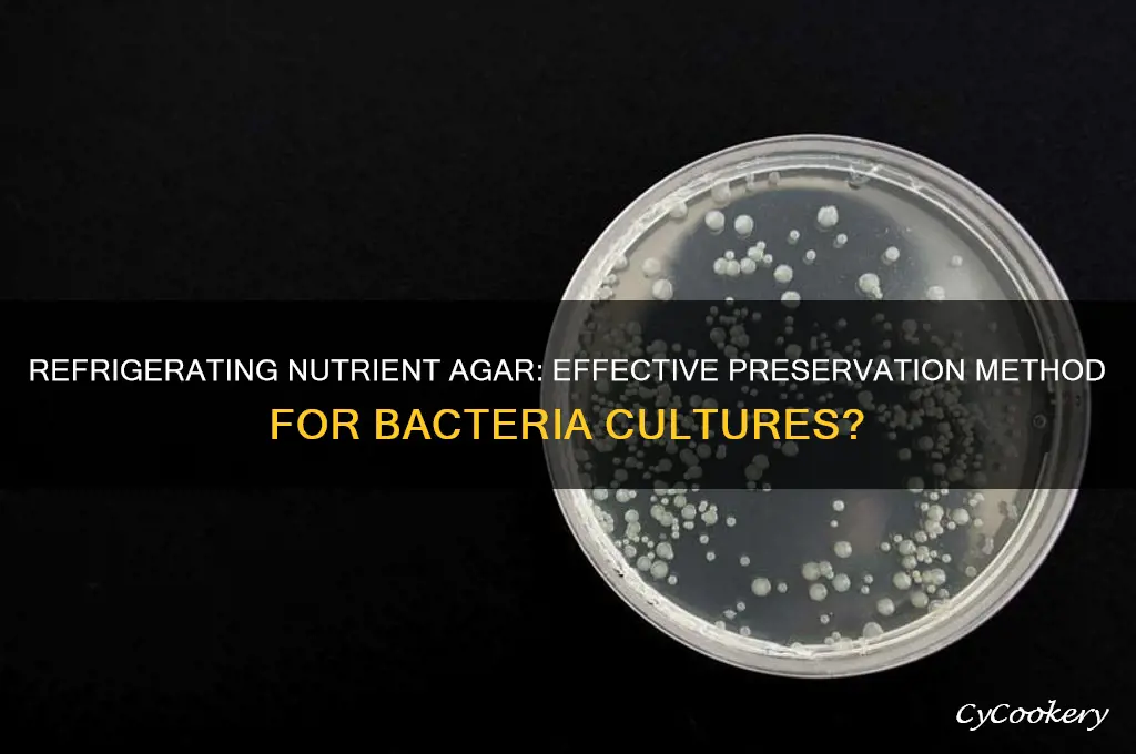 does refrigerating nutrient agar bacteria preserve them