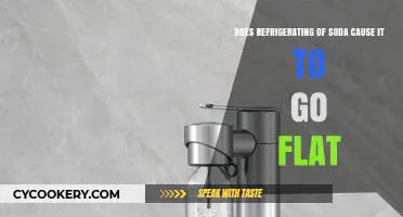 Refrigerating Soda: Does Chilling Cause Your Fizz to Go Flat?