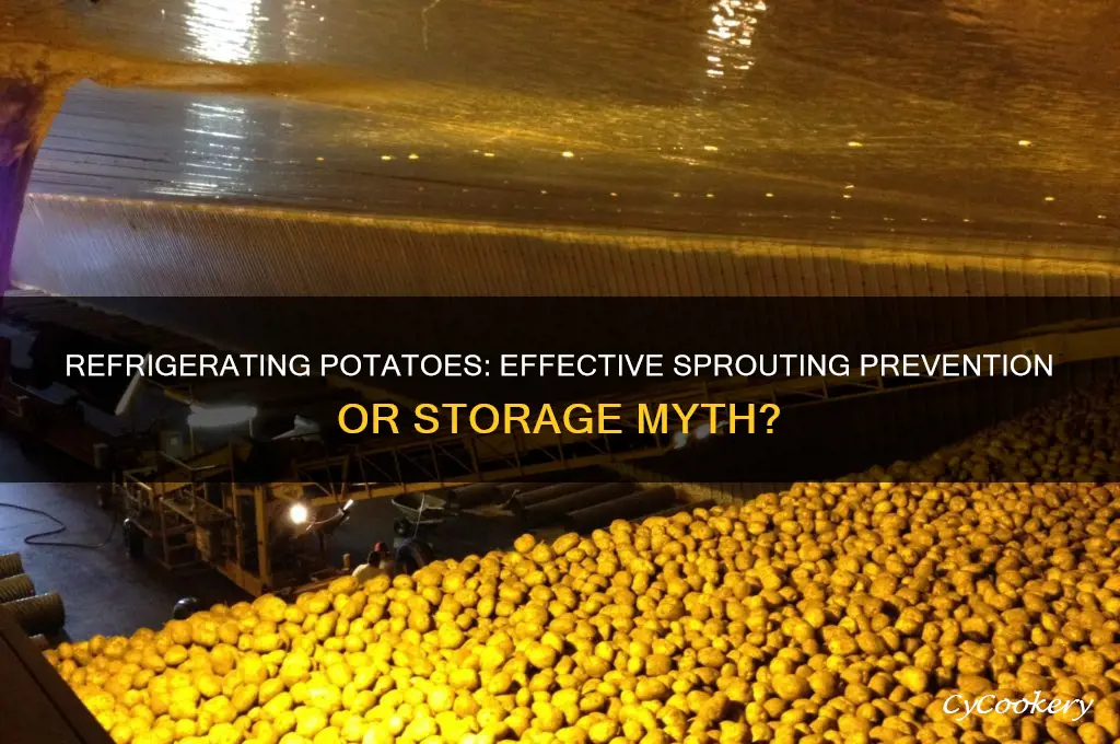does refrigerating potatoes stop them from sprouting