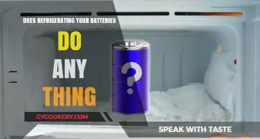 Refrigerating Batteries: Does It Prolong Life or Cause Damage?