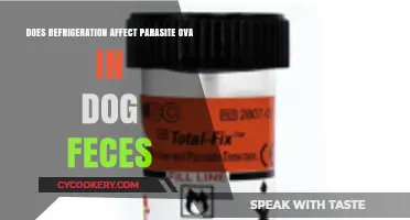 Refrigeration's Impact on Parasite Ova in Dog Feces: What You Need to Know