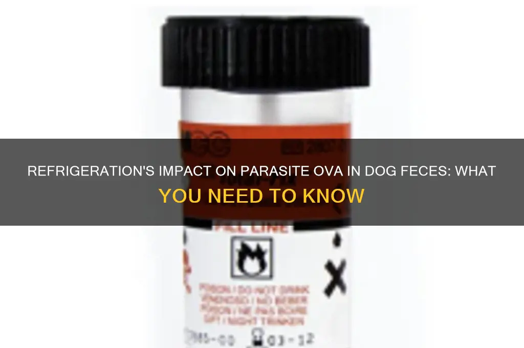 does refrigeration affect parasite ova in dog feces