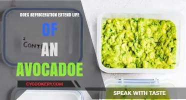 Refrigeration's Impact: Extending the Shelf Life of Avocados