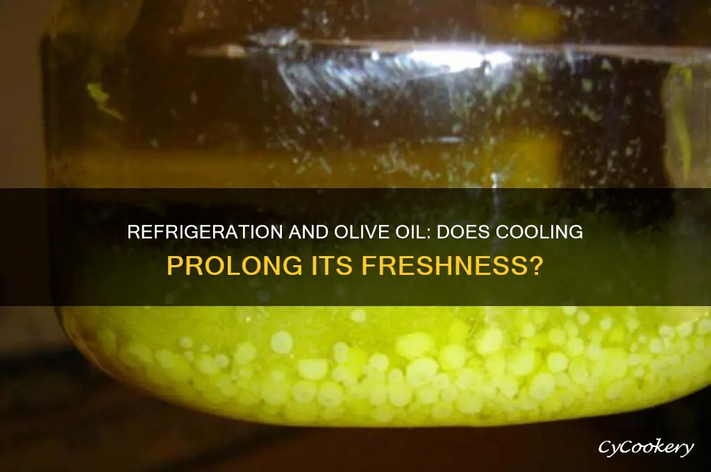 does refrigeration extend the life of olive oil