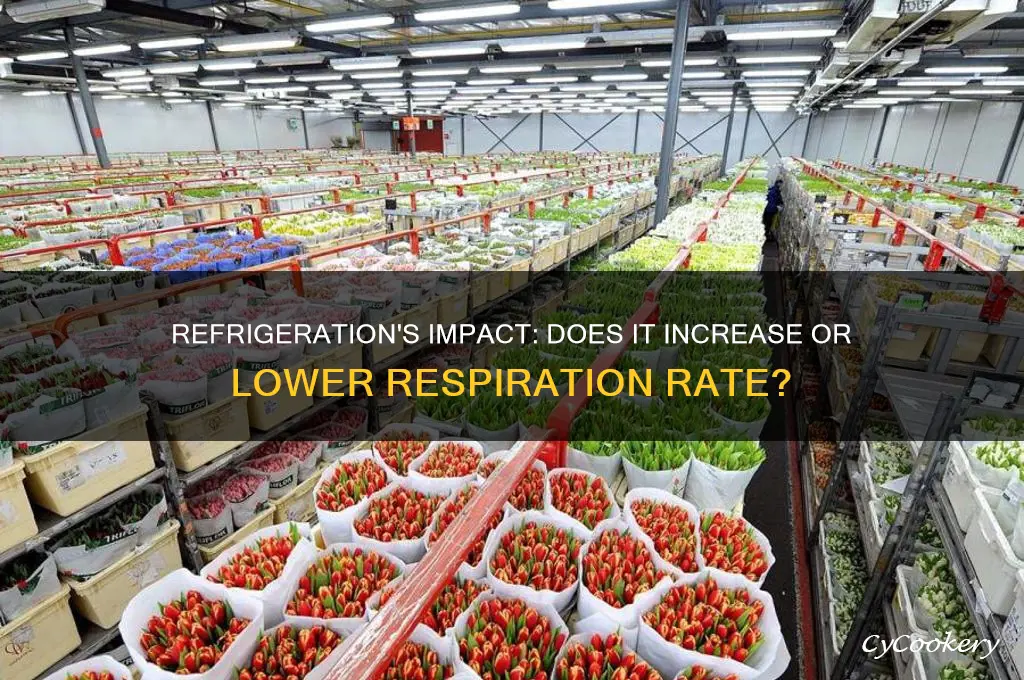 does refrigeration increase or lower respiration rate