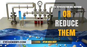 Refrigeration's Role: Killing or Reducing Bacteria in Food Storage