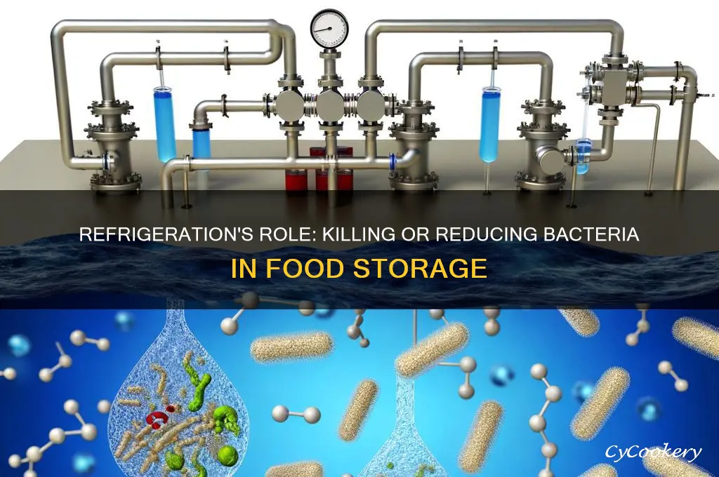 does refrigeration kill bacteria or reduce them