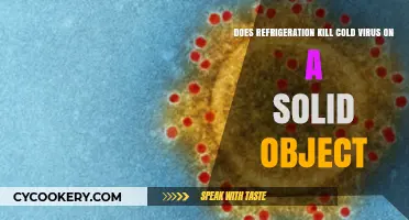 Refrigeration and Cold Viruses: Does Cooling Kill Them on Surfaces?