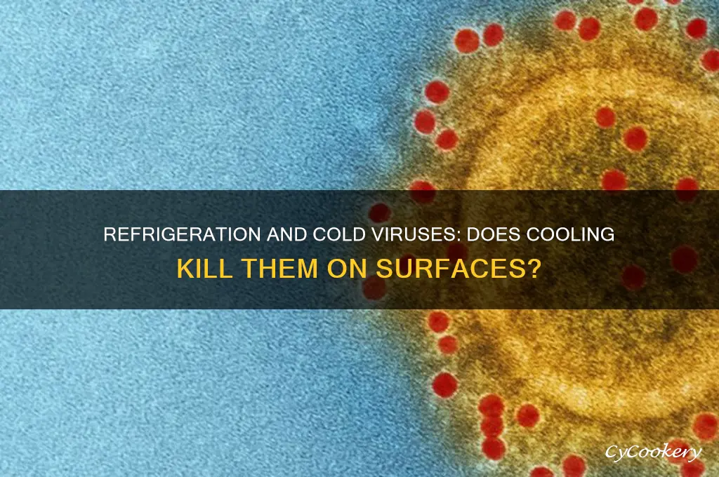 does refrigeration kill cold virus on a solid object