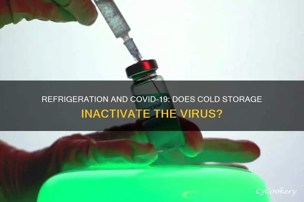 does refrigeration kill the covid 19 virus