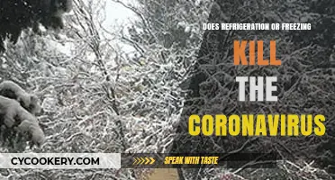 Refrigeration vs. Freezing: Can Cold Temperatures Kill the Coronavirus?