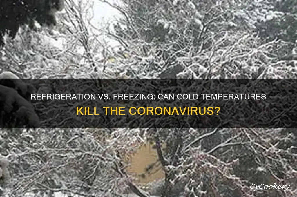 does refrigeration or freezing kill the coronavirus