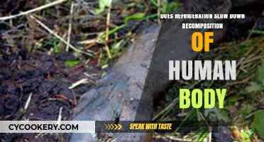 Refrigeration's Impact on Human Body Decomposition: Slowing the Process?