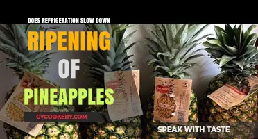 Refrigeration's Impact: Slowing Pineapple Ripening Process Explained