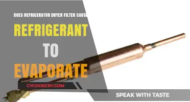 Refrigerator Dryer Filter: Does It Cause Refrigerant Evaporation?