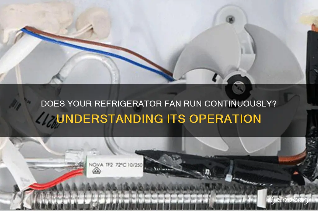 does refrigerator fan run all the time
