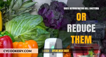 Refrigerators: Killing or Reducing Bacteria? Uncovering the Chilling Truth